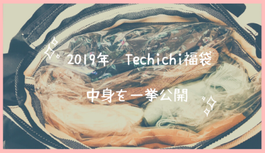 【ネタバレ】2019年のテチチ(Techichi)の福袋の中身を写真多めに紹介！